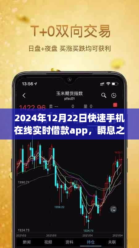 瞬息之間的資金流轉(zhuǎn)，2024年實(shí)時(shí)借款app的發(fā)展與影響
