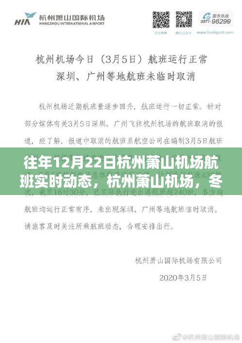 杭州蕭山機場冬至航班實時動態(tài)，舞動長空的翅膀