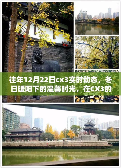 冬日暖陽下的CX3實(shí)時(shí)動(dòng)態(tài)，找尋家的溫馨與愛的力量
