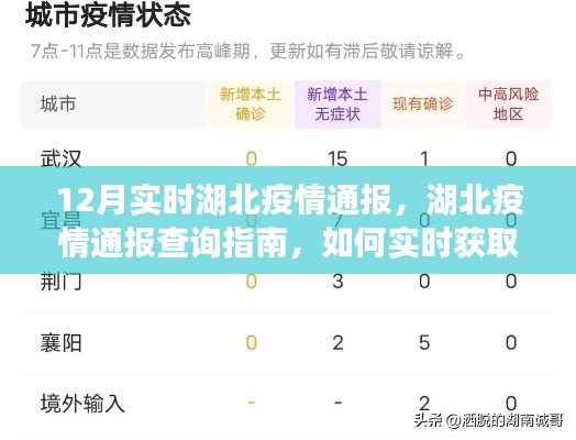 湖北疫情實(shí)時(shí)通報(bào)指南，初學(xué)者與進(jìn)階用戶查詢指南及獲取最新通報(bào)信息的方法