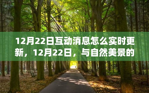 與自然美景的實時互動之旅，如何實時更新互動消息，追尋內(nèi)心的寧靜與平和在12月22日