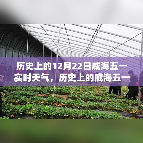 揭秘威海氣象變遷，歷史上的十二月二十二日實時天氣回顧與展望五一威海天氣變遷史