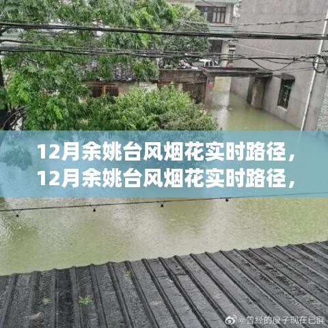 深度解析與前沿觀察，12月余姚臺風(fēng)煙花實(shí)時(shí)路徑追蹤