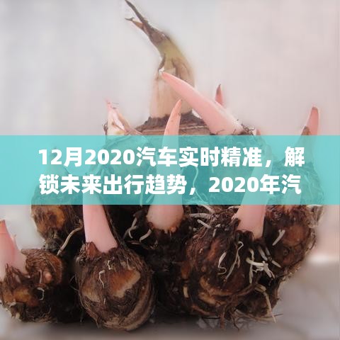 深度洞察與精準預(yù)測，2020年汽車市場趨勢及未來出行展望