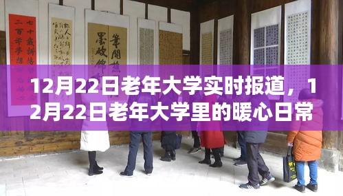 老年大學暖心日常，友情、學習與相伴的美好時光——12月22日報道