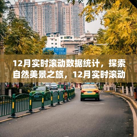 探索自然美景之旅，揭秘12月實時滾動數(shù)據(jù)統(tǒng)計背后的寧靜呼喚