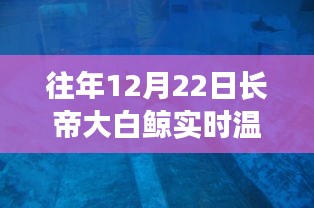 長(zhǎng)帝大白鯨智能溫度計(jì)，實(shí)時(shí)溫度觸手可及，科技帶來(lái)生活溫暖