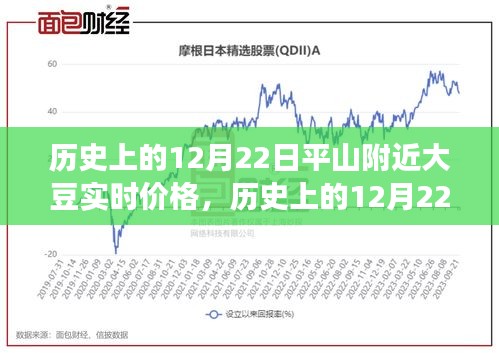歷史上的12月22日平山附近大豆價(jià)格風(fēng)云紀(jì)實(shí)，實(shí)時(shí)價(jià)格回顧與趨勢分析