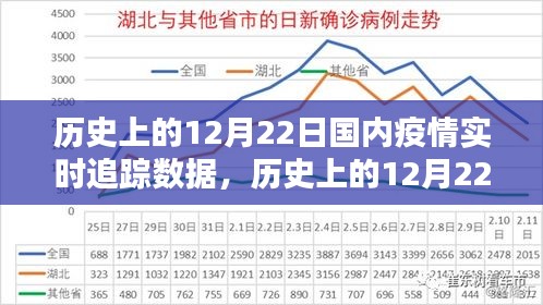 歷史上的12月22日國(guó)內(nèi)疫情實(shí)時(shí)追蹤數(shù)據(jù)詳解，步驟指南與實(shí)時(shí)追蹤報(bào)告