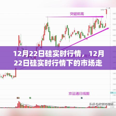 12月22日硅市場實時行情解析，市場走勢、個人觀點與洞察