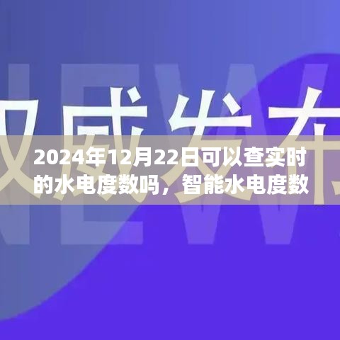 智能水電度數(shù)實(shí)時(shí)監(jiān)測(cè)體驗(yàn)報(bào)告，2024年12月22日實(shí)時(shí)水電度數(shù)查詢體驗(yàn)