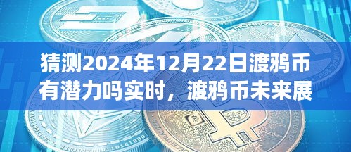 渡鴉幣未來展望，擁抱潛力，探索數(shù)字世界新紀(jì)元——至2024年12月22日的深度解析