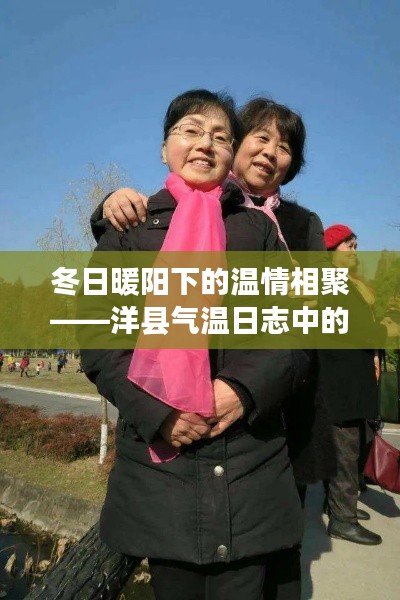 冬日暖陽下的溫情相聚——洋縣氣溫日志中的歡樂聚會(huì)時(shí)光