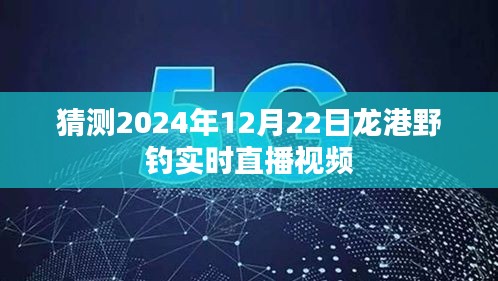龍港野釣直播預告，探尋垂釣樂趣，2024年12月22日實時直播視頻揭曉！