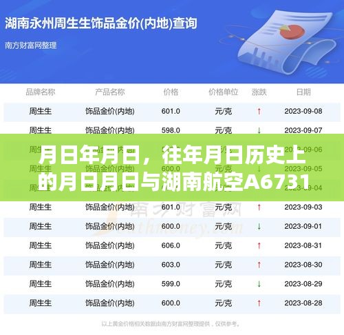 湖南航空A67316實時動態(tài)與歷史上的重要時刻回顧