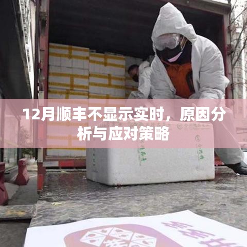 順豐快遞實(shí)時(shí)信息缺失，原因解析與應(yīng)對(duì)方案