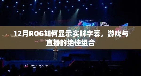 高談闊論 第4頁