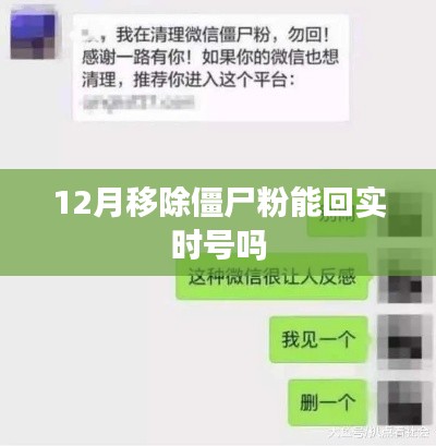 僵尸粉移除與實時號恢復(fù)，12月操作指南
