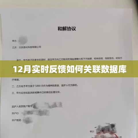實時反饋與數(shù)據(jù)庫關(guān)聯(lián)之道，12月操作指南