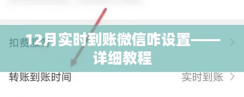 微信實(shí)時(shí)到賬設(shè)置教程，12月最新指南