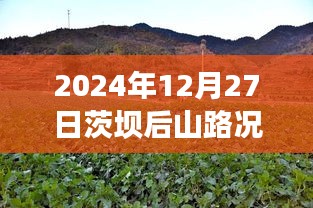 茨壩后山路況實(shí)時(shí)更新，查詢表及指南