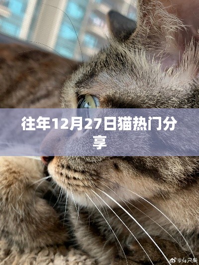 貓熱門分享回顧，歷年12月27日精彩瞬間