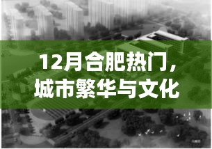 合肥12月熱門活動，城市交響與文化繁榮