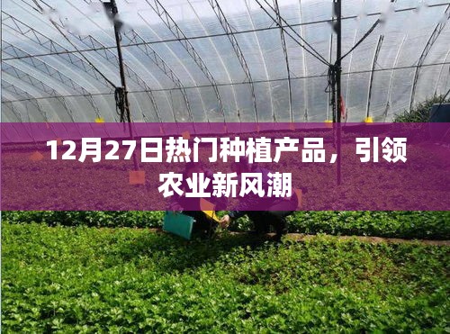 12月27日熱門(mén)種植產(chǎn)品，農(nóng)業(yè)新風(fēng)潮引領(lǐng)者