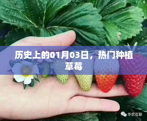鳥駭鼠竄 第3頁