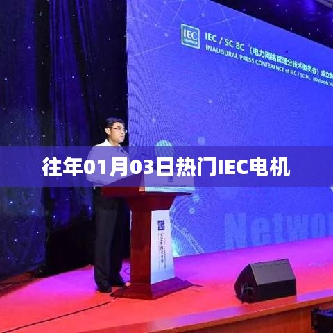 往年元旦后熱門IEC電機(jī)概覽