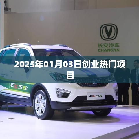 2025年創(chuàng)業(yè)熱門項(xiàng)目揭秘，把握未來(lái)商機(jī)
