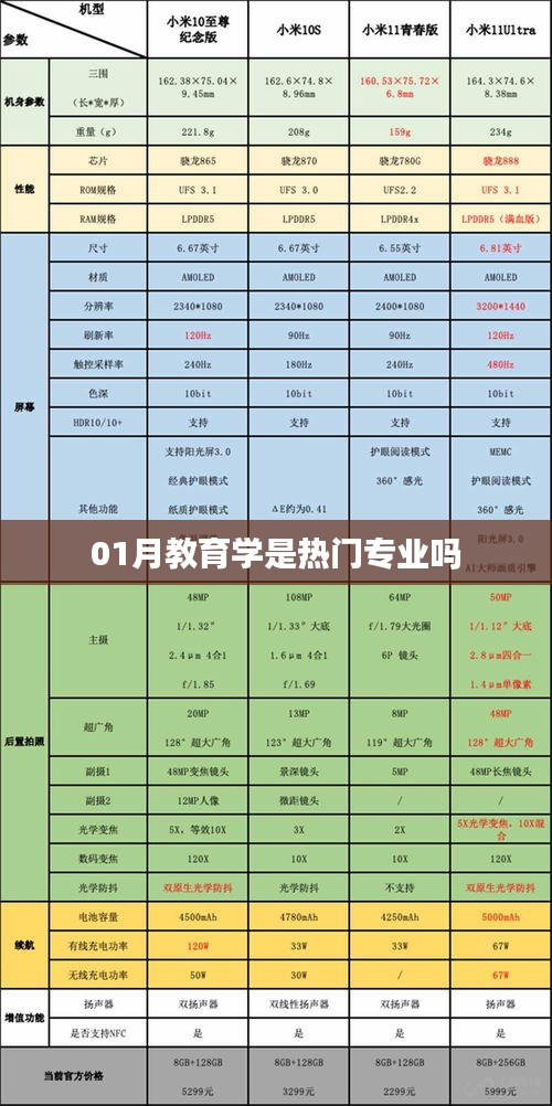 教育學(xué)是否成為熱門專業(yè)，深度解析