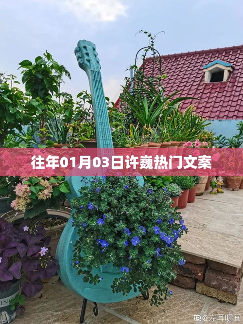 許巍元旦熱門(mén)文案回顧