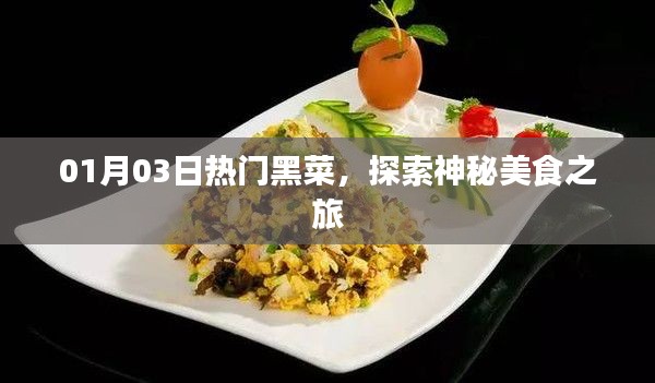 熱門黑菜探索，神秘美食之旅（日期標(biāo)注）