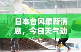 日本臺風(fēng)最新消息，今日天氣動態(tài)及影響報(bào)告