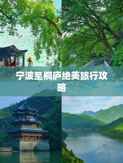 綱舉目張 第4頁