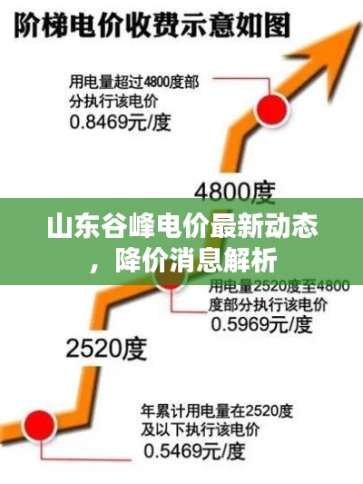 山東谷峰電價最新動態(tài)，降價消息解析