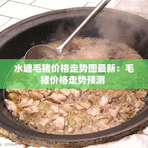 水塘毛豬價(jià)格走勢(shì)圖最新：毛豬價(jià)格走勢(shì)預(yù)測(cè) 