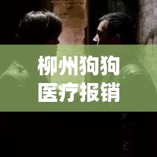 五光十色 第3頁(yè)