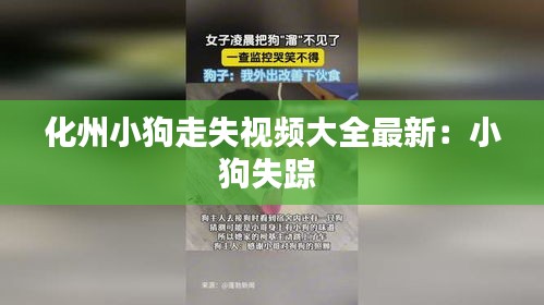 后會(huì)無(wú)期 第3頁(yè)