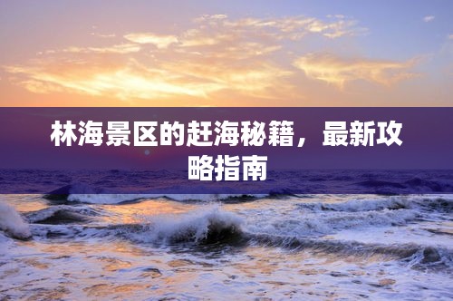 異口同聲 第4頁(yè)
