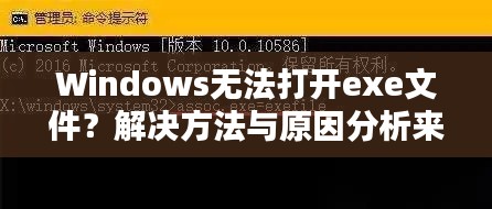 雍容雅步 第3頁
