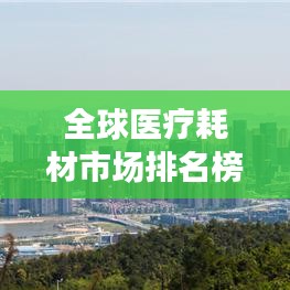事必躬親 第3頁