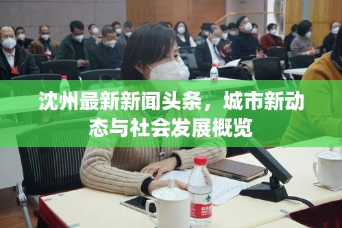 沈州最新新聞?lì)^條，城市新動(dòng)態(tài)與社會(huì)發(fā)展概覽