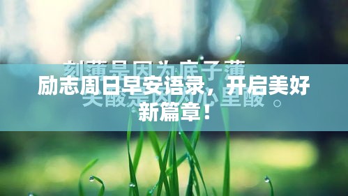 勵志周日早安語錄，開啟美好新篇章！