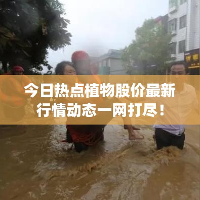 風(fēng)馳電掣 第3頁