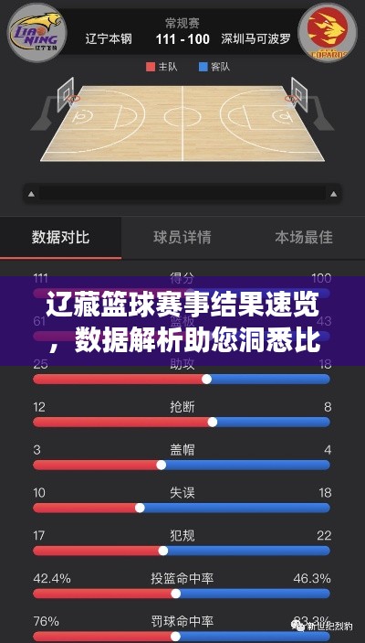 遼藏籃球賽事結(jié)果速覽，數(shù)據(jù)解析助您洞悉比賽動(dòng)態(tài)