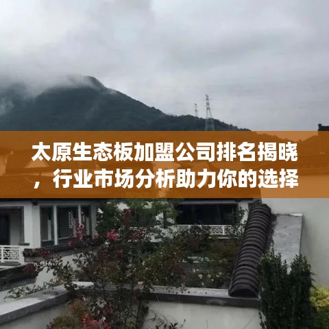 太原生態(tài)板加盟公司排名揭曉，行業(yè)市場(chǎng)分析助力你的選擇！
