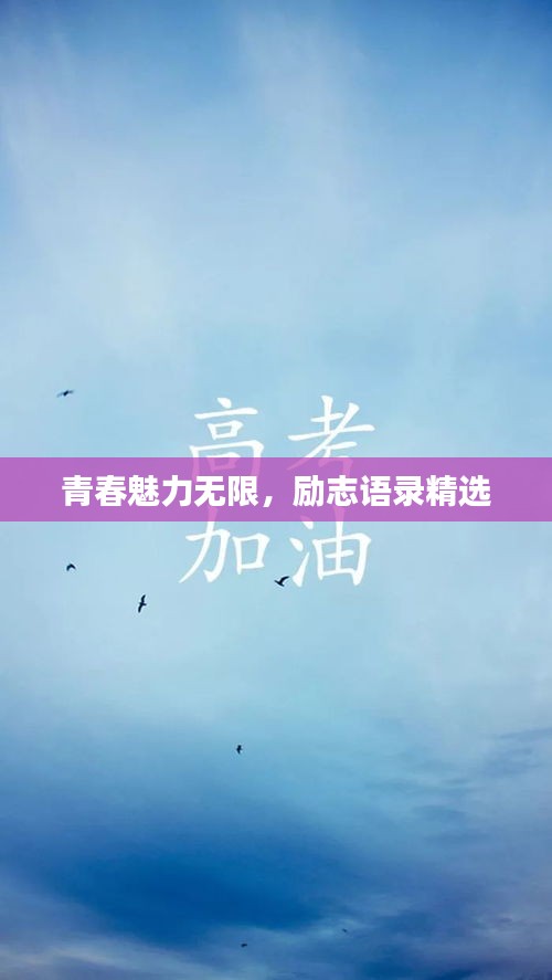 飛檐走壁 第4頁(yè)