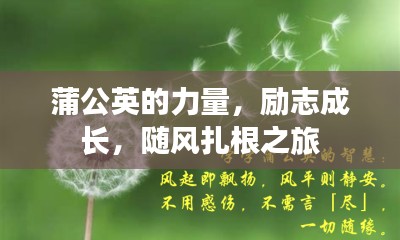 蒲公英的力量，勵志成長，隨風(fēng)扎根之旅